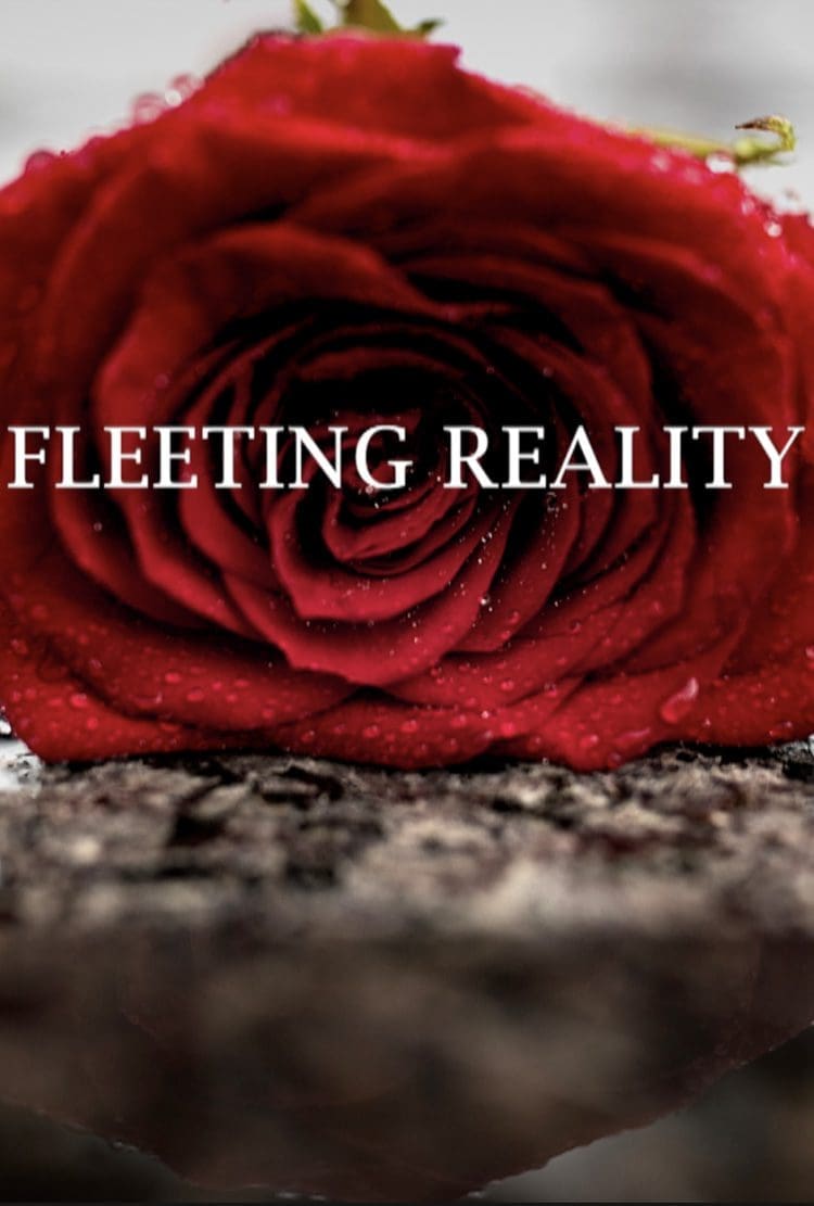 Fleeting+Reality